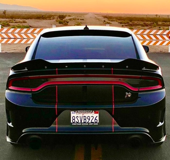 Dodge Charger Narrow Body Type 1 Wicker Bill
